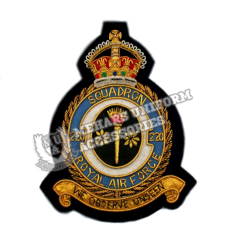 220 Squadron Badge Royal Air Force  RAF